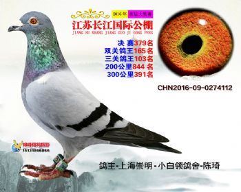 江苏长江决赛379名