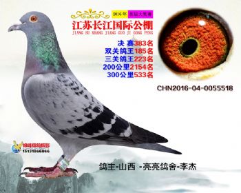 江苏长江决赛383名