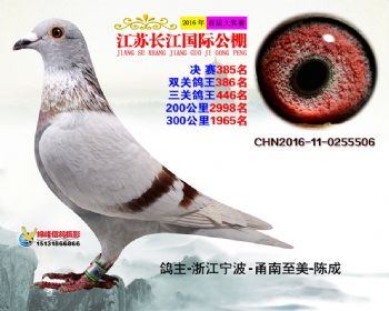 江苏长江决赛385名