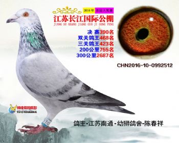 江苏长江决赛390名
