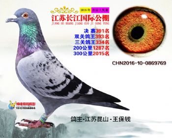 江苏长江决赛391名