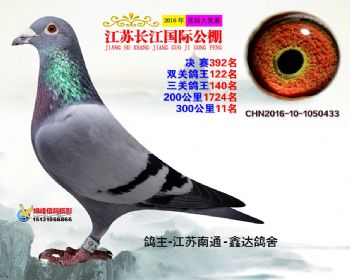 江苏长江决赛392名