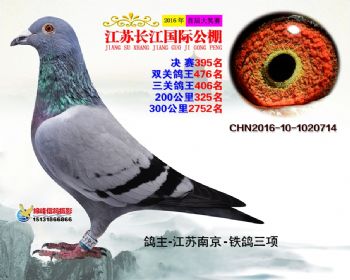 江苏长江决赛395名