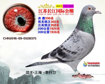 江苏长江决赛396名