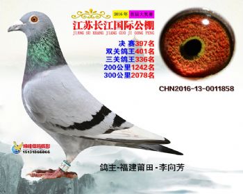 江苏长江决赛397名