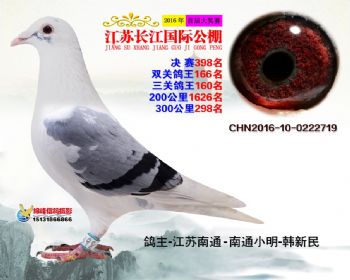 江苏长江决赛398名