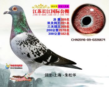 江苏长江决赛399名
