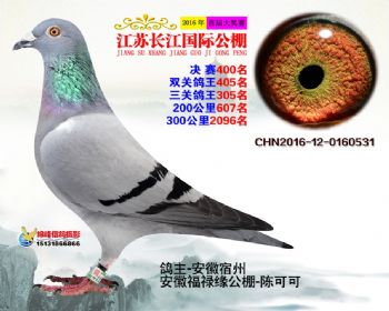 江苏长江决赛400名