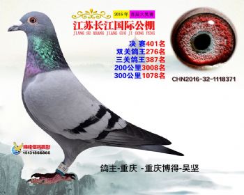 江苏长江决赛401名
