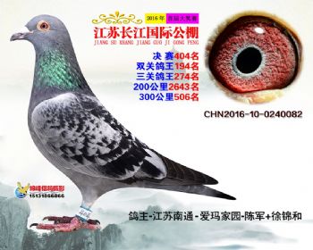江苏长江决赛404名
