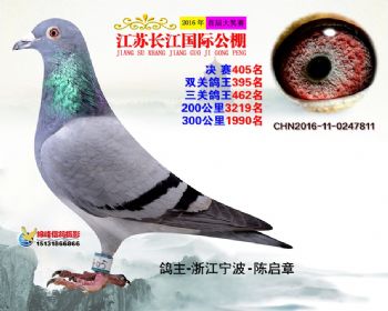 江苏长江决赛405名