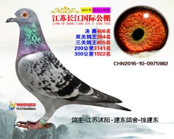 江苏长江决赛406名
