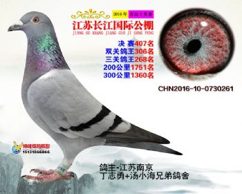 江苏长江决赛407名