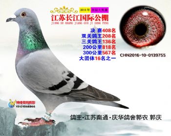 江苏长江决赛408名