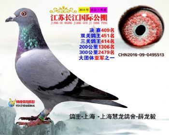 江苏长江决赛409名