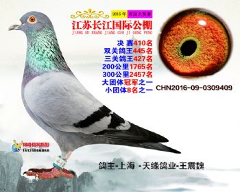 江苏长江决赛410名