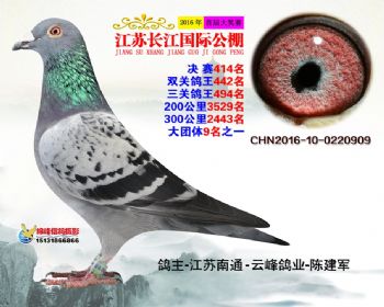 江苏长江决赛414名