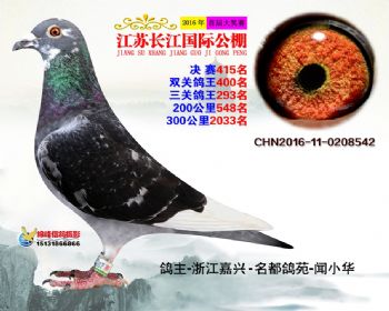 江苏长江决赛415名