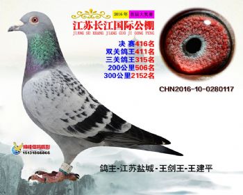 江苏长江决赛416名