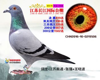 江苏长江决赛419名