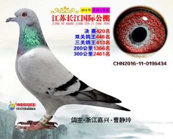 江苏长江决赛420名