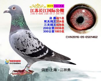 江苏长江决赛421名
