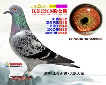 江苏长江决赛423名