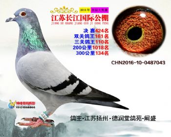 江苏长江决赛424名