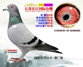江苏长江决赛426名