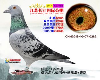 江苏长江决赛428名
