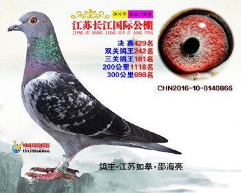 江苏长江决赛429名