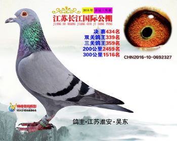江苏长江决赛434名
