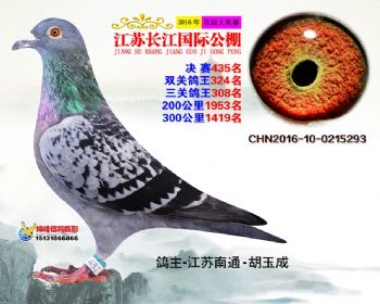 江苏长江决赛435名
