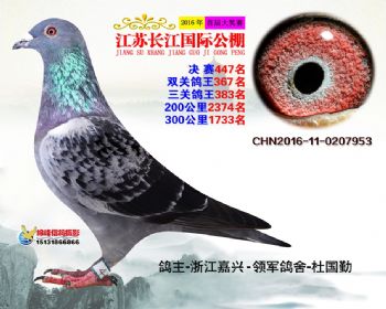 江苏长江决赛447名