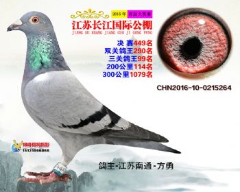 江苏长江决赛449名