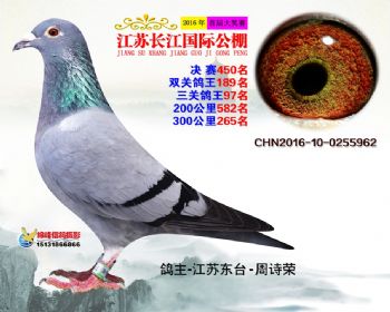 江苏长江决赛450名