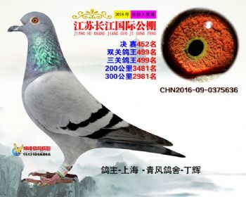 江苏长江决赛452名