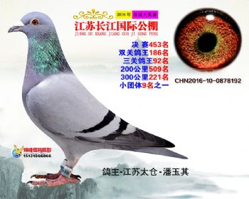 江苏长江决赛453名