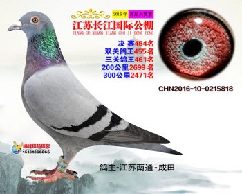 江苏长江决赛454名