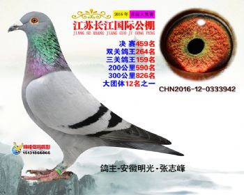 江苏长江决赛459名