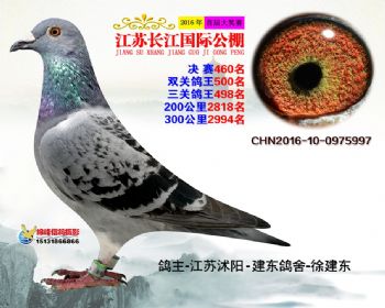 江苏长江决赛460名