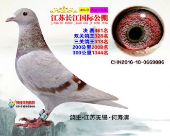 江苏长江决赛461名