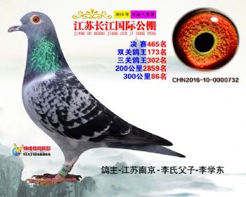 江苏长江决赛465名