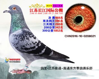 江苏长江决赛468名
