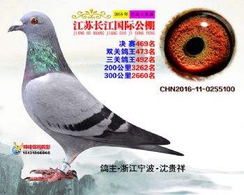 江苏长江决赛469名