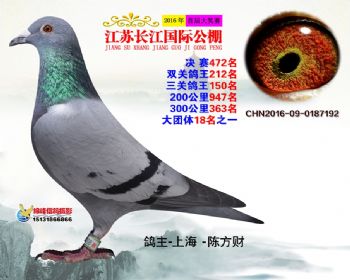 江苏长江决赛472名