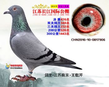 江苏长江决赛476名