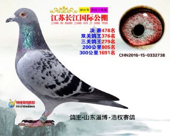 江苏长江决赛478名