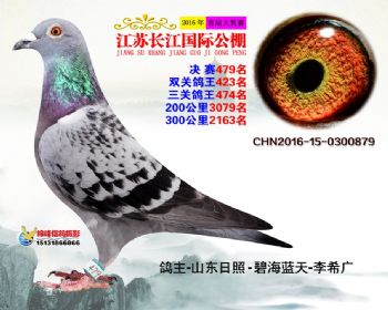 江苏长江决赛479名