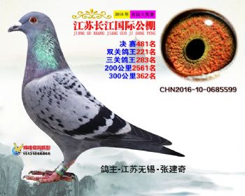 江苏长江决赛481名